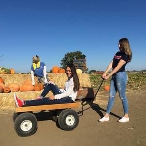 Meet your Posher, Ellie